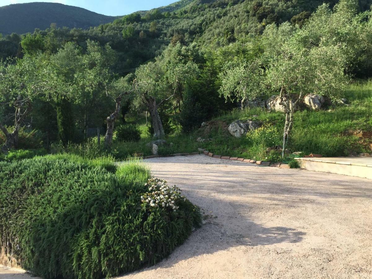 Valuable Rustic Tuscan Swimming Pool, Breathtaking View Of Camaiore Zewnętrze zdjęcie